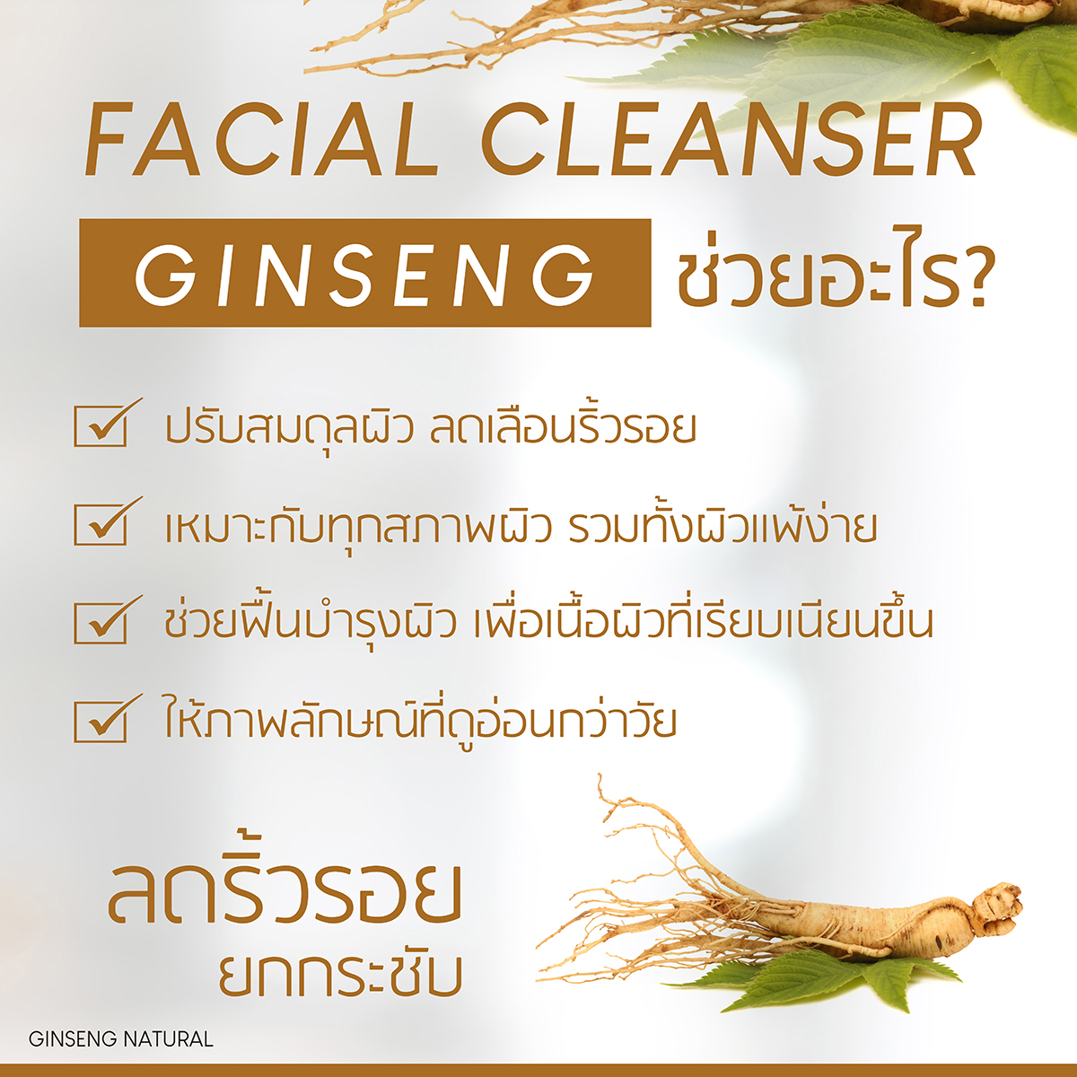 Plantnery Ginseng Facial Cleanser 250ml 